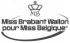 logo-BrabantWallon1-2010