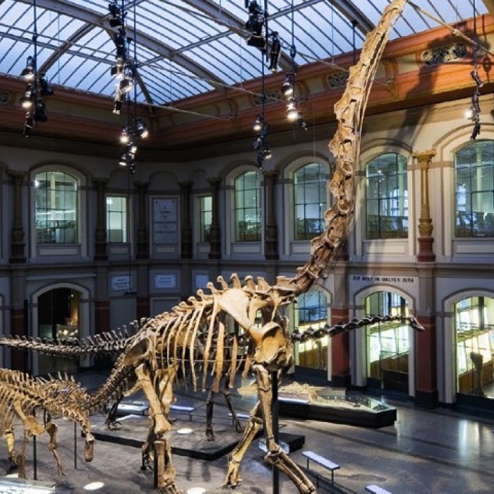 150616130211-dino-museums-museum-fur-naturkunde-berlin-super-169 (Small)