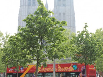 St Goedele Cathedral